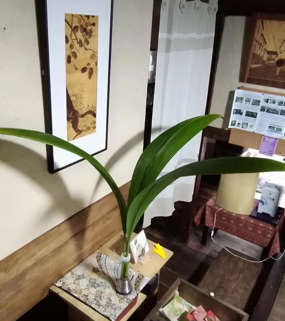 Guesthouse Yuu Kyoto Guest house
